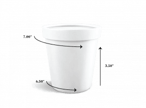 How to Label a Tapered Container or Curved Surface Sttark How to Label a Tapered Container or Curved Surface Sttark