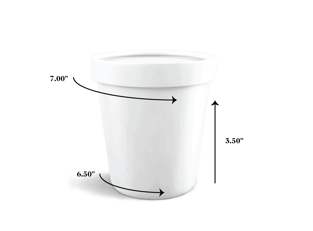 16 oz Pint-Sized White Ice Cream Containers with Lids