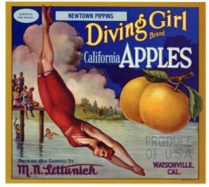 fruit crate labels